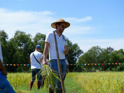 SS Rice News Convention 2025, Pattaya - Thailand